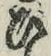 文字 ひ