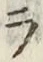 글자 ラ