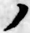 字ノ