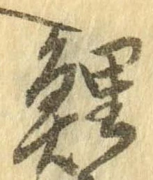 鯉の位置