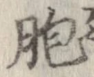 Đã định vị 胞