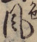 Đã định vị 風