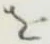 글자 を