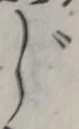 글자 じ