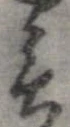 Đã định vị 言