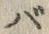 文字 バ