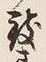 Character せ