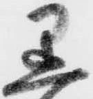已定位黒