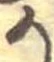 位置定マレル𛀚