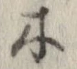 位置 確認된 木