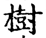 글자 樹