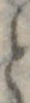 位置 確認된 と
