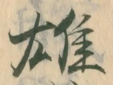 已定位雄