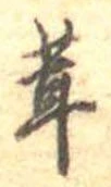 茸 위치 확인됨