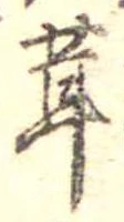 茸 위치 확인됨