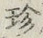 「珍」字