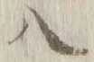 字八