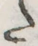 𛁠 위치 확인됨