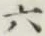 Character 六