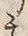 文字土