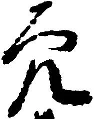 已定位穴