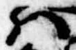 Đã định vị 𛂞