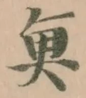 魚 위치 확인됨