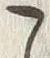 “こ”字