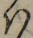 Đã định vị 𛂞