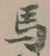 馬 위치 확인됨