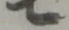 七 위치 확인됨