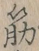 Character 筋