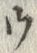 「ウ」字