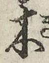 𡨸木