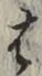 글자 は