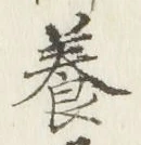 Chữ 養