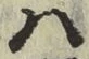 字は