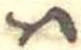 Đã định vị 𛂞
