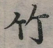 竹 위치 확인됨