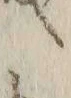 字ト