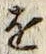 文字 を