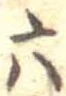 六 위치 확인됨