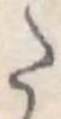 Đã định vị 𛁠