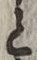 “と”字