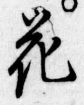 花 위치 확인됨