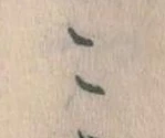こ 위치 확인됨