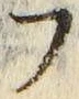 𡨸フ