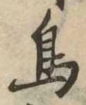 鳥 위치 확인됨