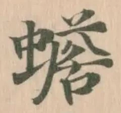 蟾 위치 확인됨