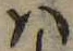 Đã định vị 𛂞